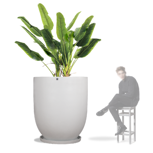 6434 مركن بولي دائري  أبيض مع صحن