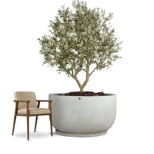 6438 مركن بولي دائري رصاصي مع صحن