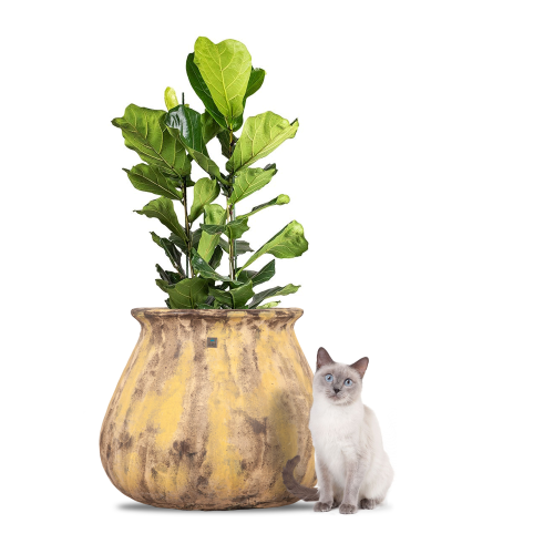 6379 مركن سيراميك حلزوني بني