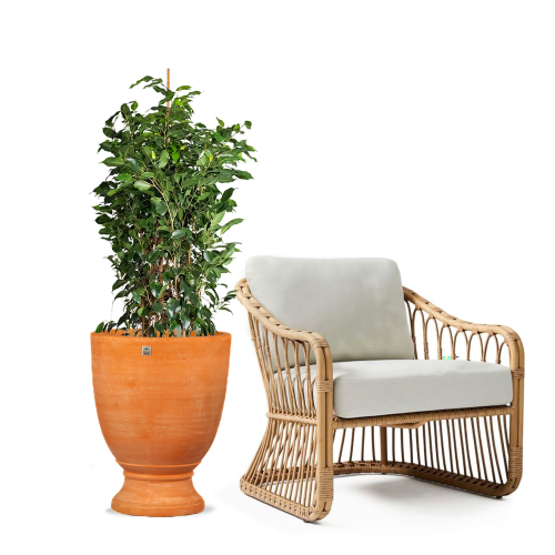 6359 مركن تراكوتا دائرى