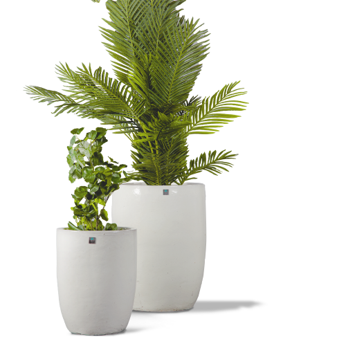 مراكن سيراميك سكري فاتج 5470