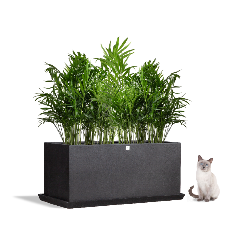 مركن بولي مستطيل أسود 6432