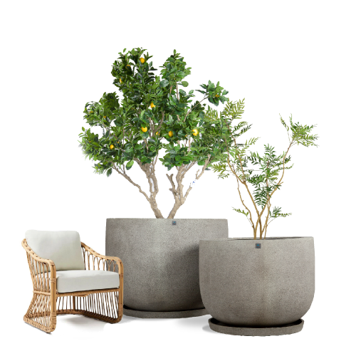 6438 مركن بولي دائري رصاصي مع صحن