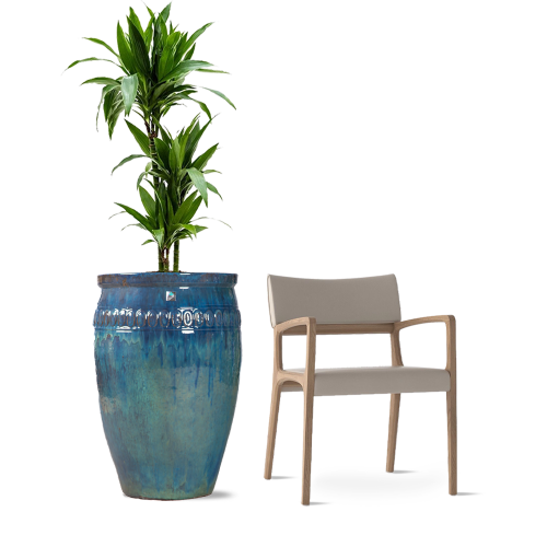 أحواض زرع رخام