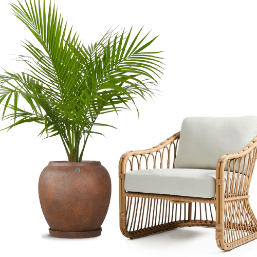 6415 مركن بولي حلزوني بني مع صحن