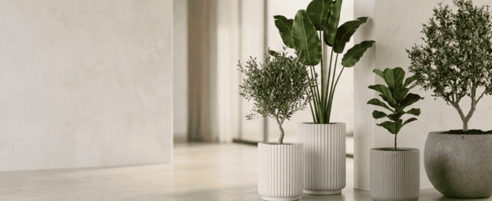 احواض بولي: أفضل مراكن زرع كبيرة ومودرن في السعودية | نفار Nefar