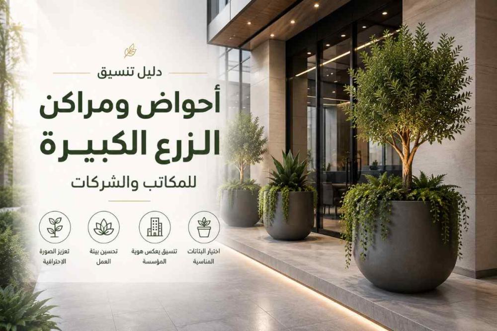 دليل تنسيق أحواض ومراكن الزرع الكبيرة للمكاتب والشركات