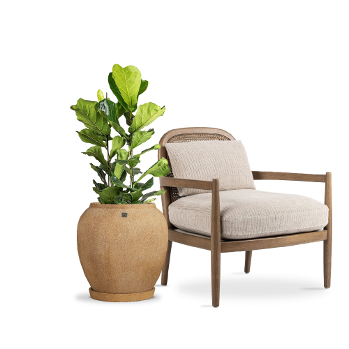 6414 مركن بولي حلزوني بني مع صحن