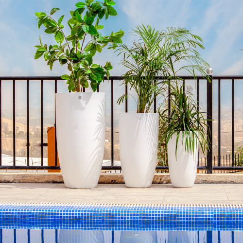 مراكن اسمنتية لون ابيض موديل 5577