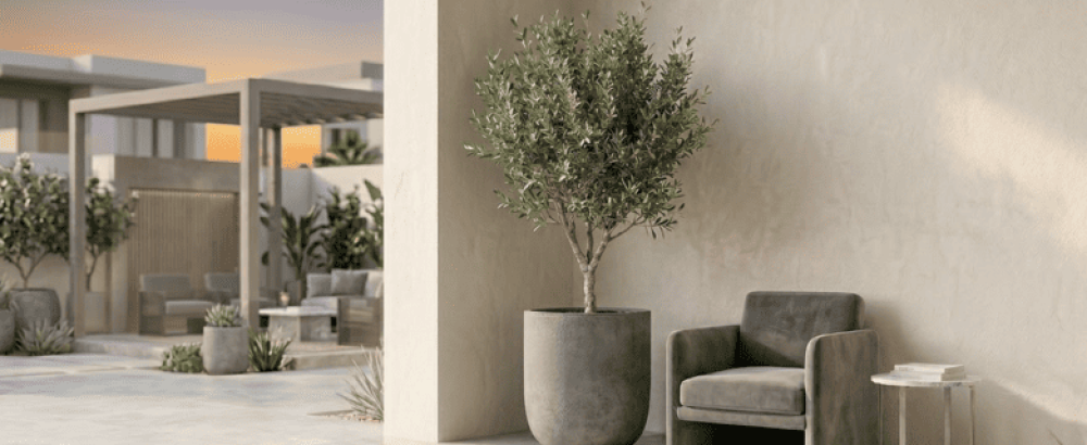 احواض زرع للحوش: كيف تحول فناء منزلك إلى واحة عصرية؟