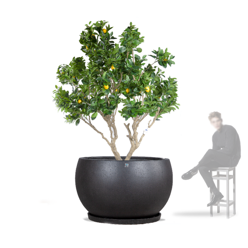 6428 مركن بولي دائري رمادي مع صحن