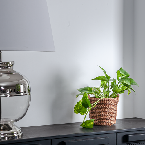 بوت خوص للزرع