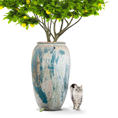 حوض زرع كبير