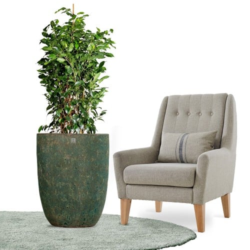 مراكن سيراميك اخضر فقاعي 5734