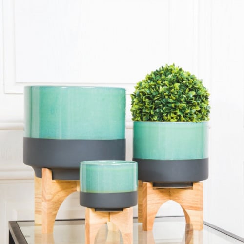 احواض الزهور