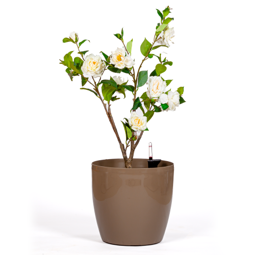 حوض زرع بلاستيك