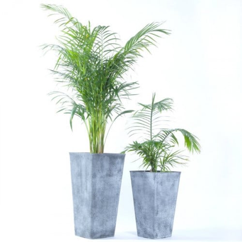 احواض زرع طويله