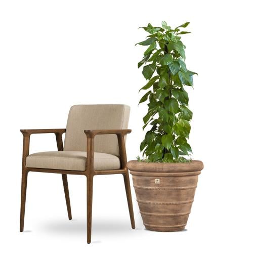 حوض فايبر جلاس