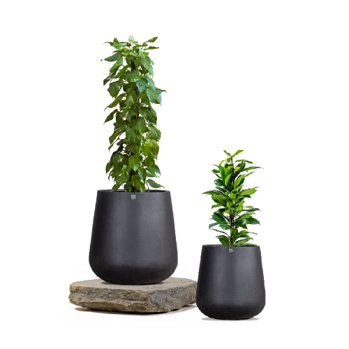 6396 مركن بولي اسطواني أسود مع صحن