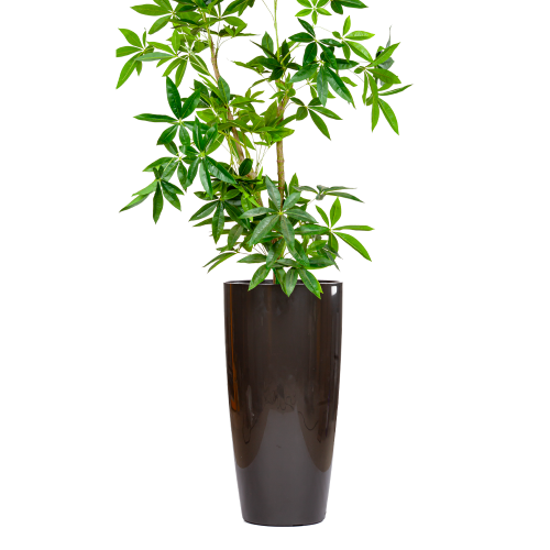 احواض زراعة مائية