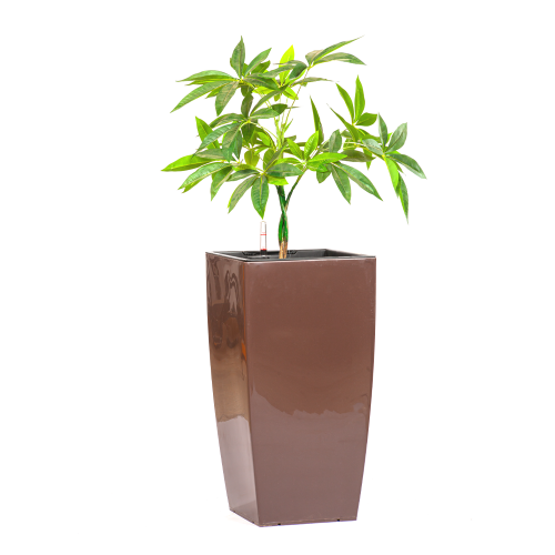 حوض ري ذاتي