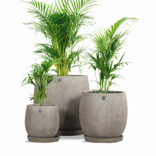 6439 مركن بولي دائري رمادي غامق  مع صحن