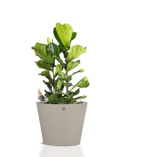 احواض زرع فيبر جلاس