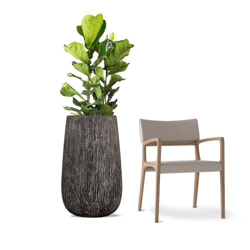 مركن اسود كبير