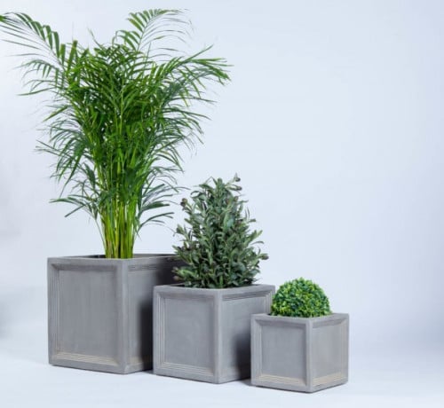 احواض شجر داخلي