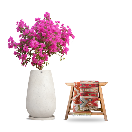 6322 مركن بولى دائرى رصاصى غامق مع صحن