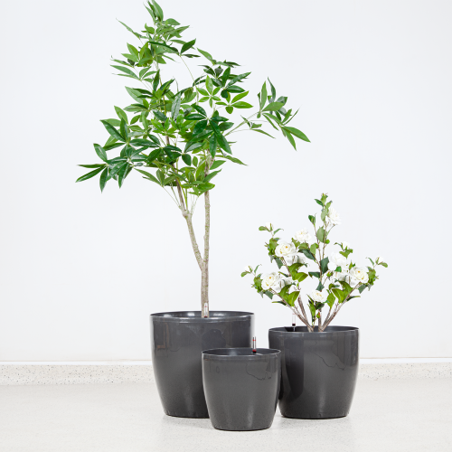 احواض زرع بلاستيك كبيرة