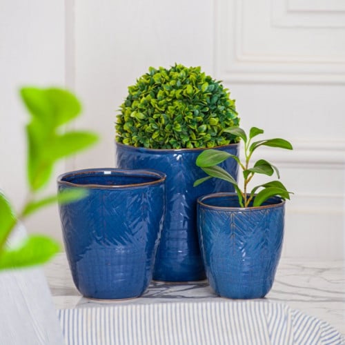 اصيص زرع داخلي اصيص سيراميك اصيص زرع سيراميك