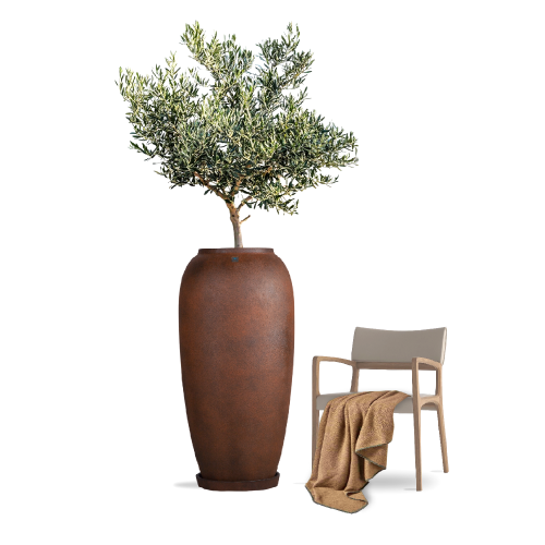 6421 مركن بولي طولى بني مع صحن