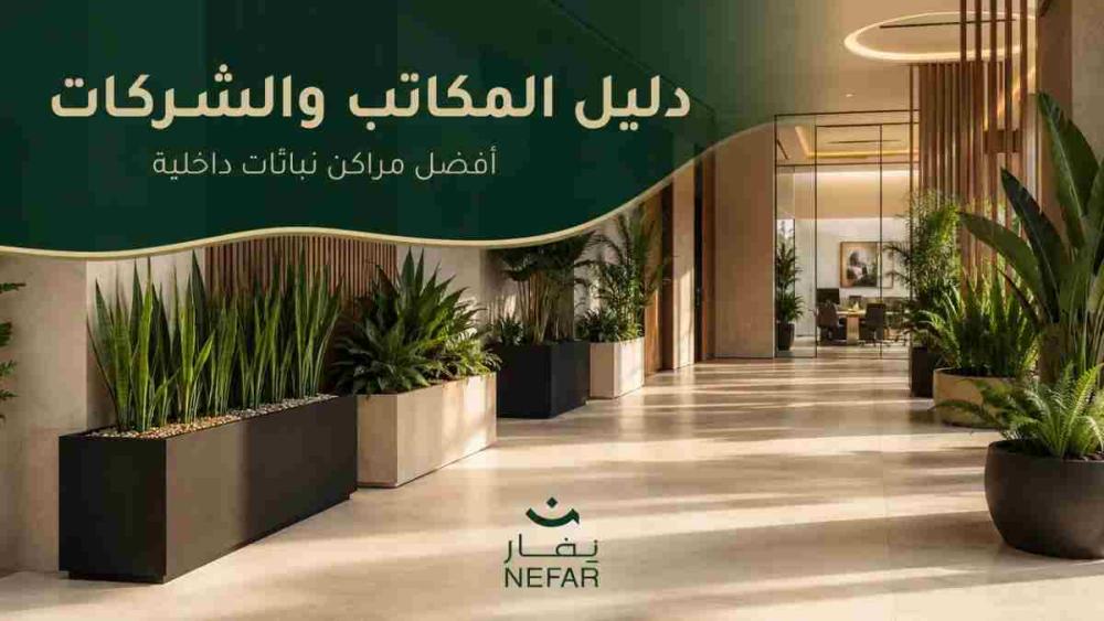 دليل المكاتب والشركات: أفضل مراكن نباتات داخلية - متجر نفار