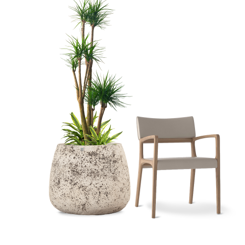 مركن نباتات