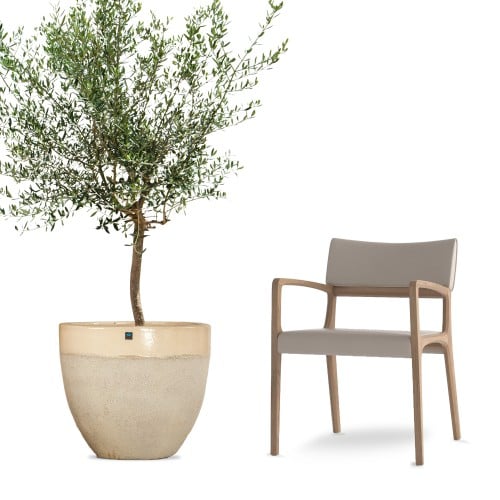 احواض زرع مودرن