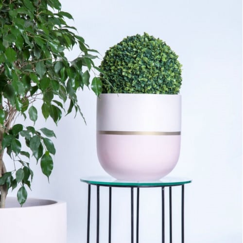 أحواض زراعة منزلية