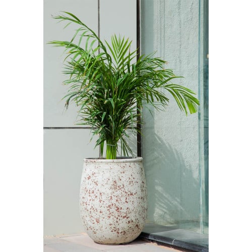 أحواض زراعيه