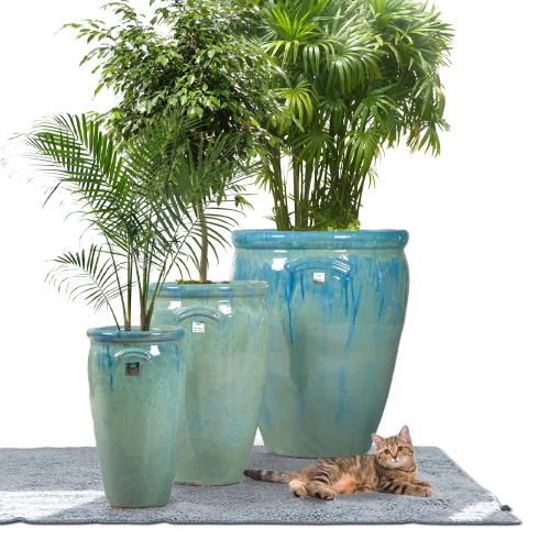 مراكن الزرع