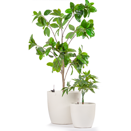 احواض زرع خارجية