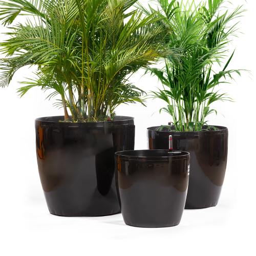 مركن زرع كبير مركن كبير إناء زرع كبير اناء زرع كبير