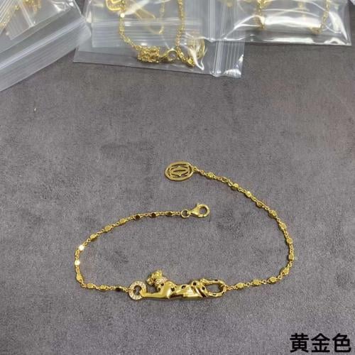 اسورة كارتييه مع الملحقات