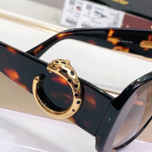 نظاره كارتير