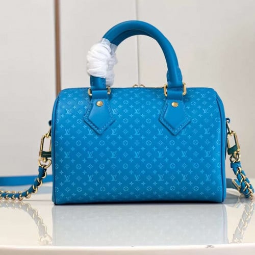 شنطة LV ماستر 20.5 cm