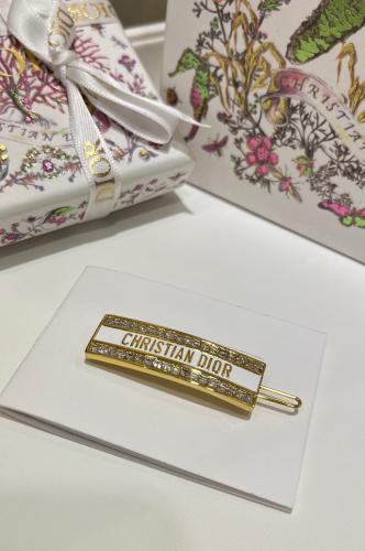 اكسسوار شعر من ديور مع الملحقات