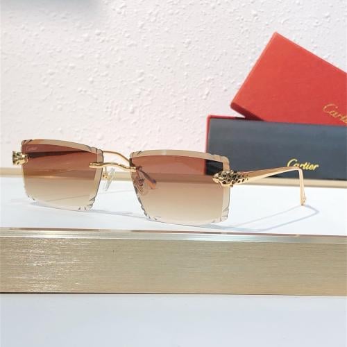 نظاره كارتييه