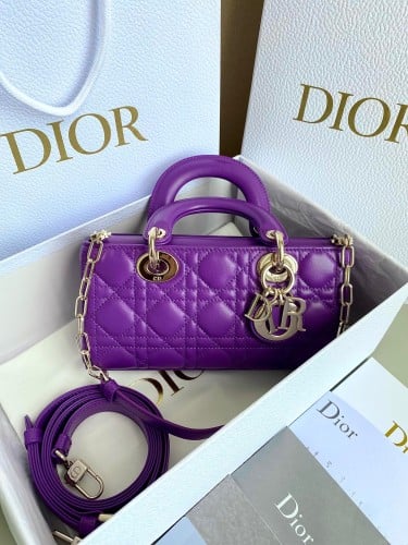Lady Dior joy 22cm