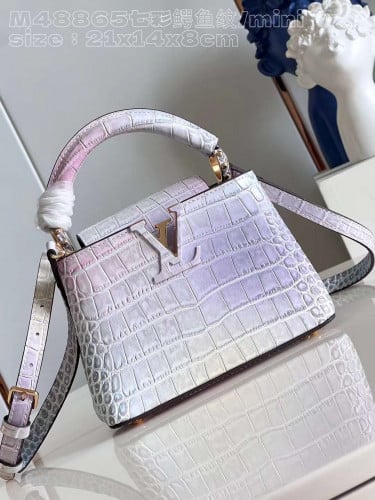 شنطه LV ماستر 21 cm