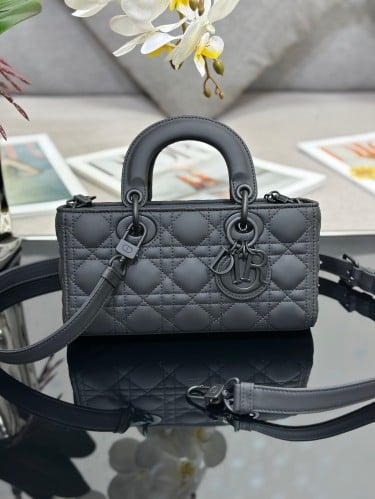 Lady Dior joy 22cm