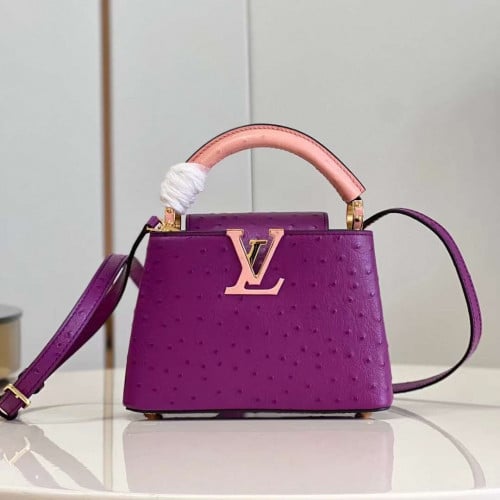 شنطه ماستر لوي فيتون 21 سم